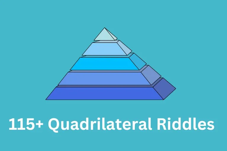 Quadrilateral Riddles