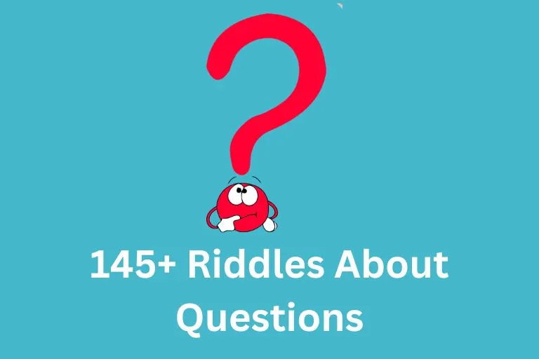 Riddles About Questions