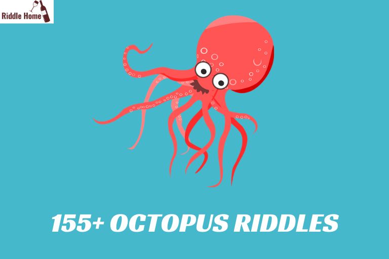 Octopus Riddles