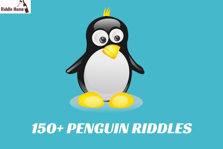 Penguin Riddles