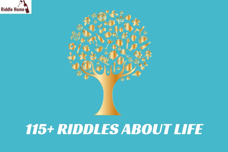 Riddles About Life